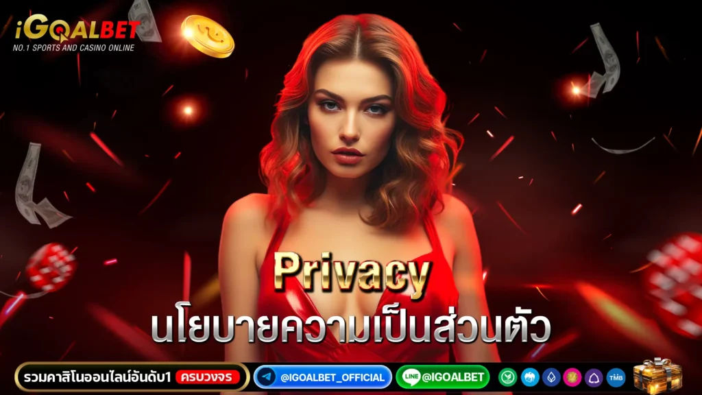 นโยบายความเป็นส่วนตัว